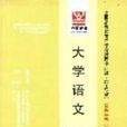 大學語文：課程代碼4729最新版輔導