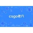 csgo老六