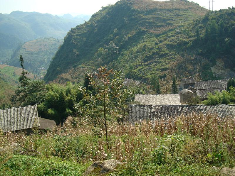 大坡上自然村(雲南省昭通威信縣麟鳳鄉柏香村大坡上自然村)