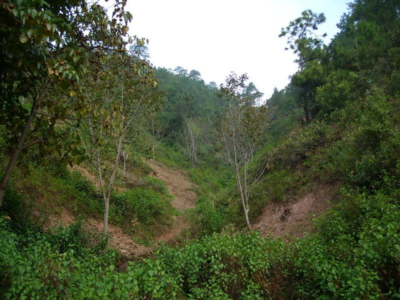 馬茨村