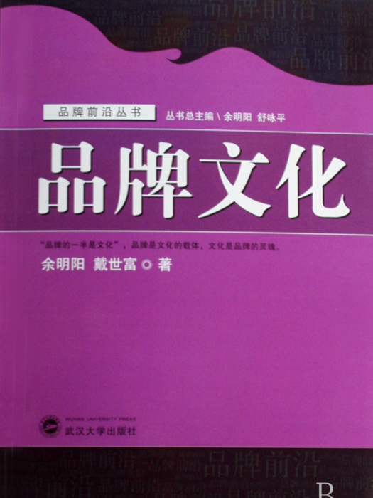 品牌文化(品牌前沿叢書·品牌文化)