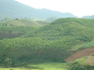 下擺田村