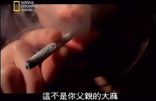 透視內幕：大麻