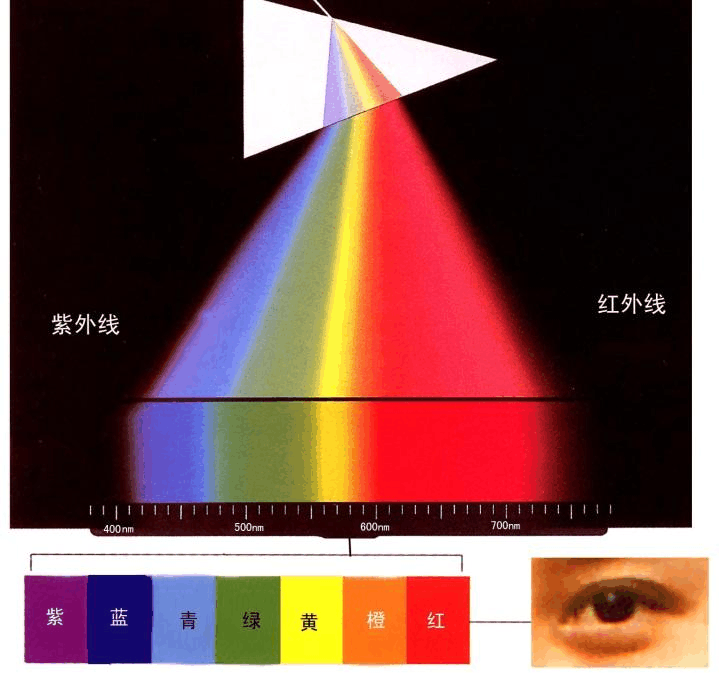 防藍光電視膜