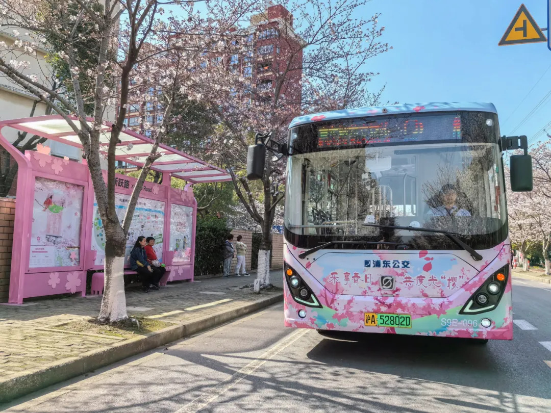 上海公交浦東DZ8號線高東櫻花文旅線