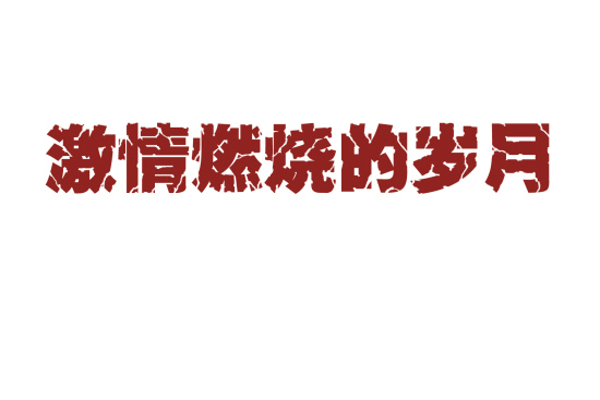 激情燃燒的歲月(2006年時代文藝出版社出版的圖書)