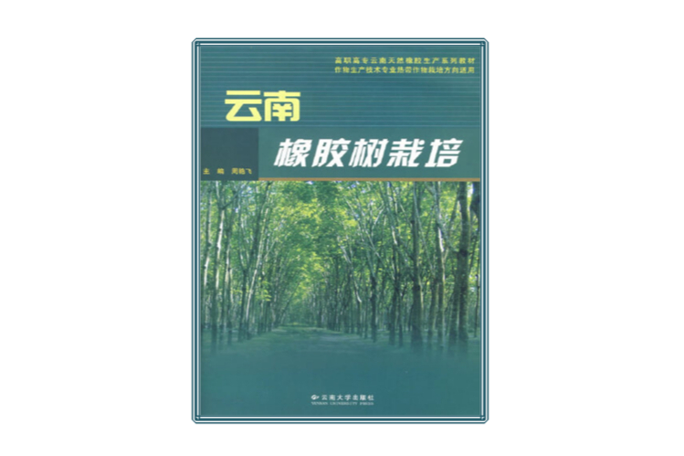 雲南橡膠樹栽培