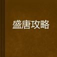 盛唐攻略(唐爵所著小說)