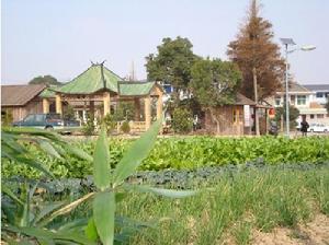 馬岙博物館