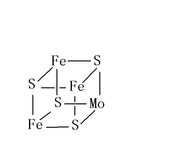 類立方烷MoFe3S4的結構