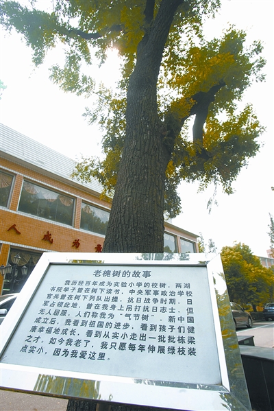 兩湖書院