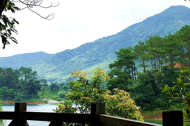 黃龍湖森林公園