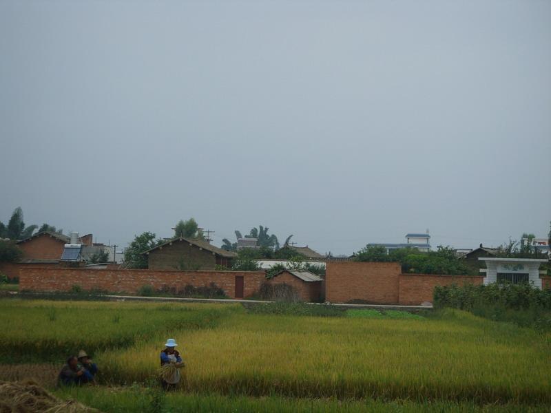 小王家寨村