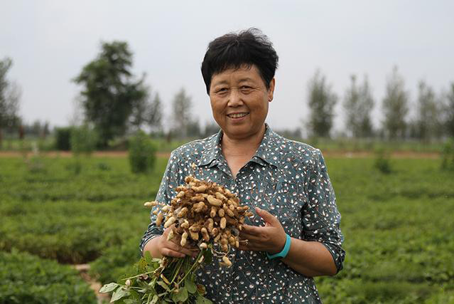 李玉榮(河北省油料作物專家顧問組組長)