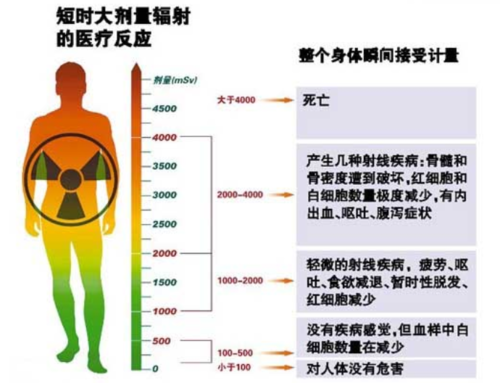 早期核輻射(貫穿輻射)