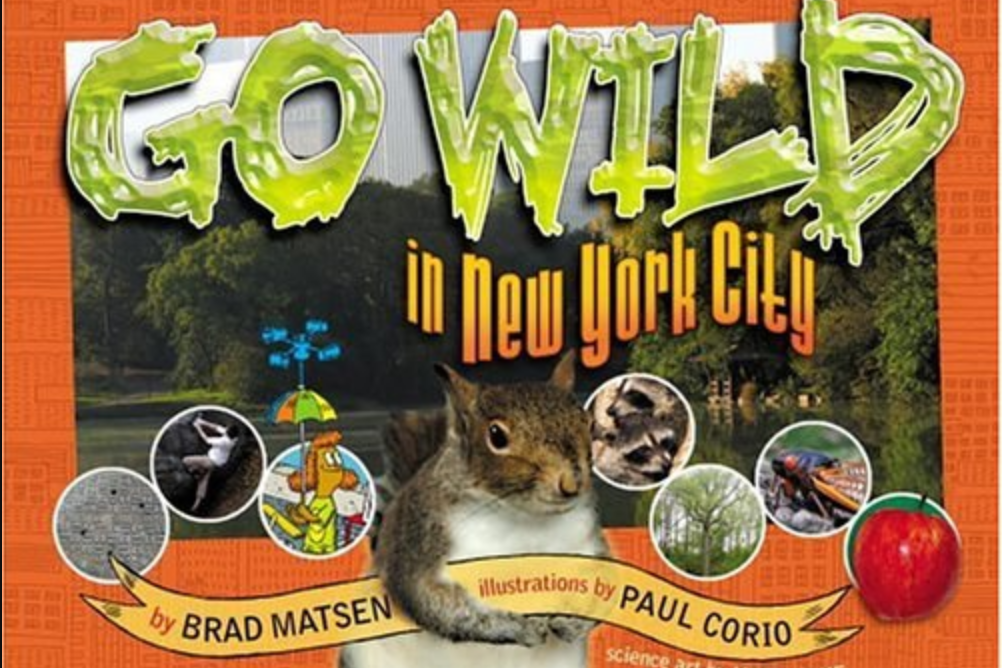 Go Wild in New York City