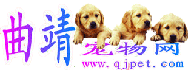 曲靖寵物網LOGO