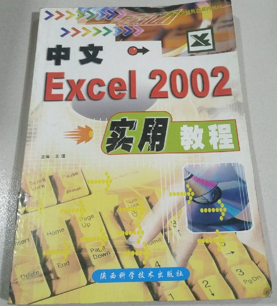 中文Excel 2002 實用教程