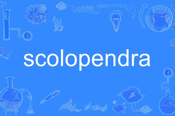 scolopendra