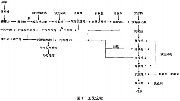 纖維素降解與SCP生產工藝研究