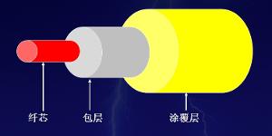 醫用光纖跳線