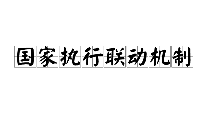 國家執行聯動機制