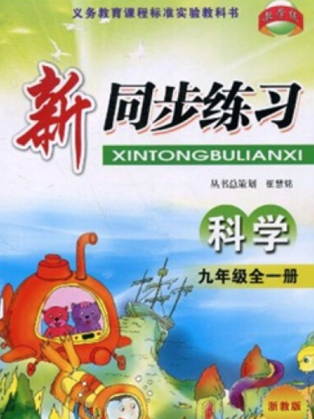 新同步練習(2004年開明出版社出版的圖書)