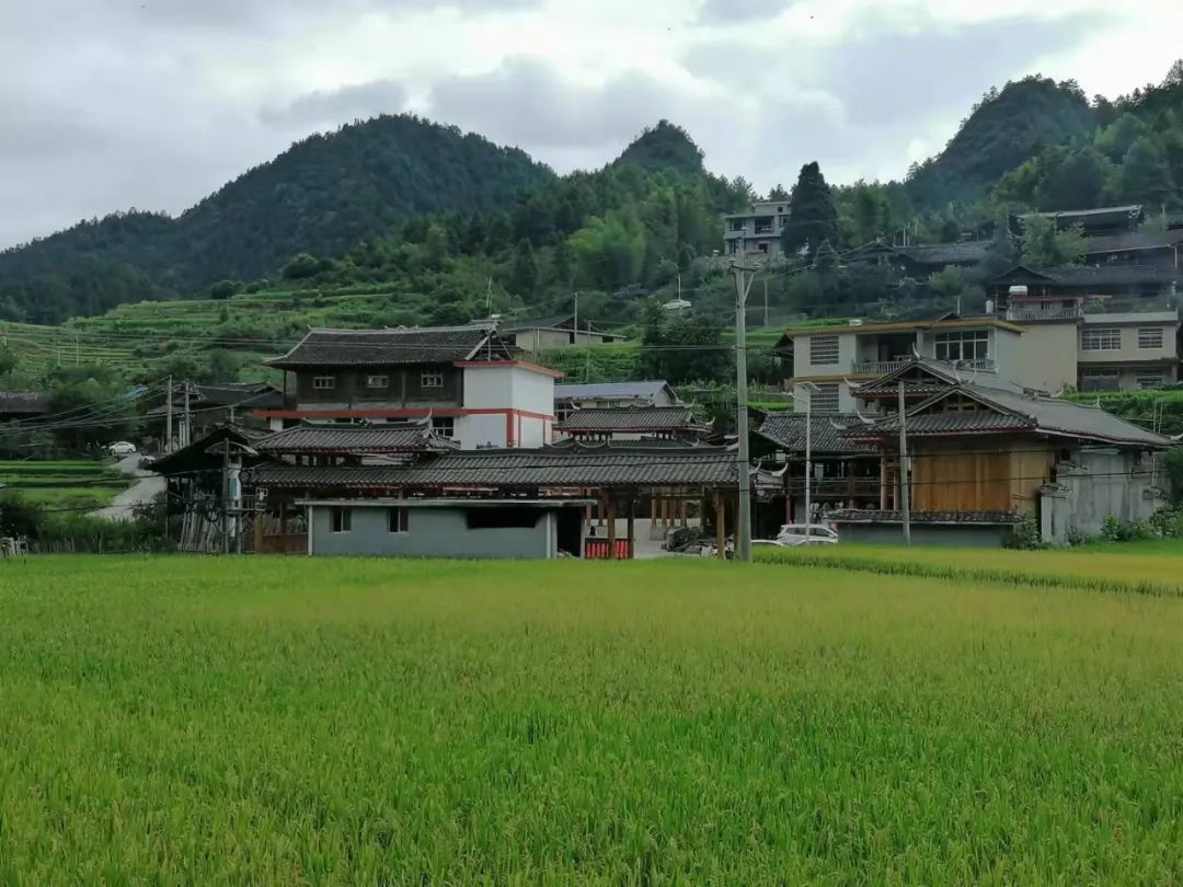 卡田村