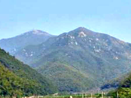 蓋蒼山