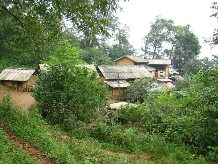 後山村(新平縣戛灑鎮發啟村民委員會下轄村)