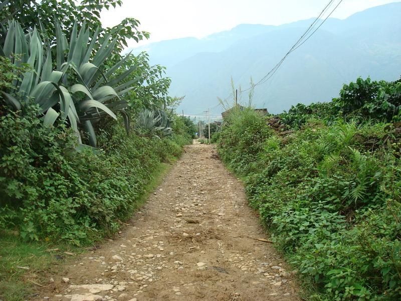 回行自然村通村道路