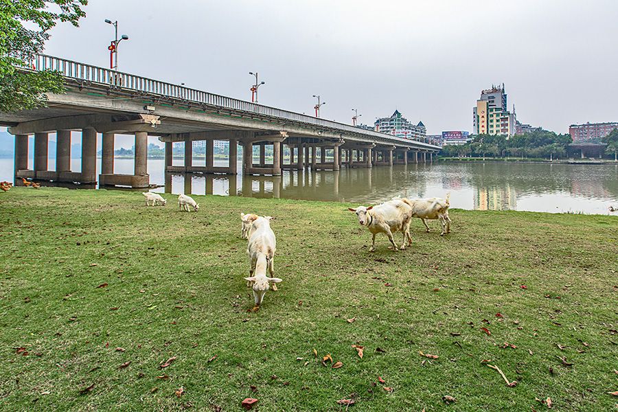 長泰大橋