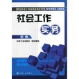 2012社會工作者職業水平考試備考精要及習題精練：社會工作實務（初級）