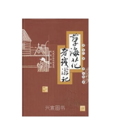 老殘遊記(2007年鳳凰出版社出版的圖書)