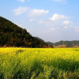 小曼別村