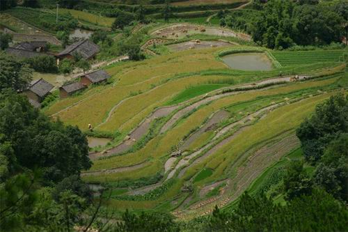 沙河鎮境內東北部的楊仙嶺