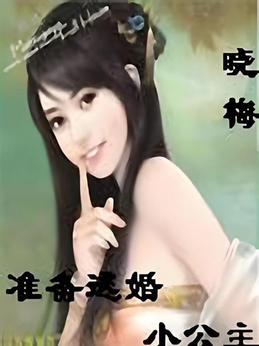 準備逃婚的小公主