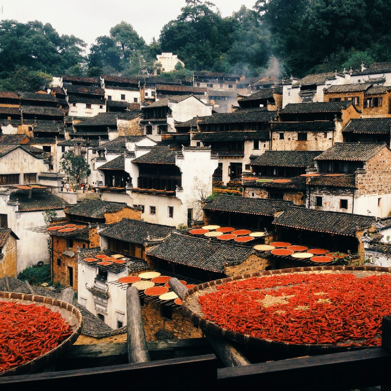 水墨婺源