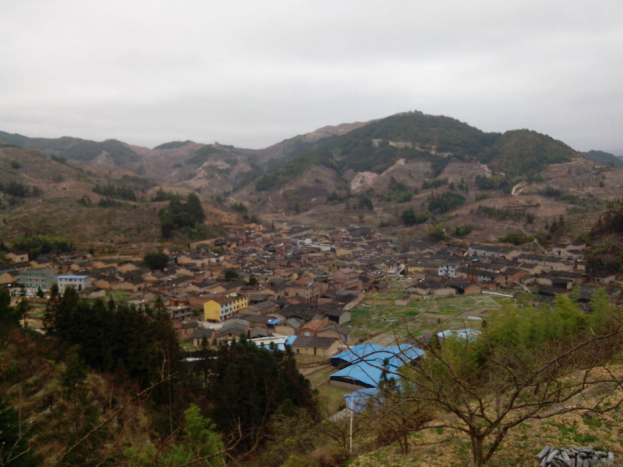 利洋村(福建省寧德市古田縣城東街道利洋村)