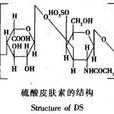 硫酸皮膚素