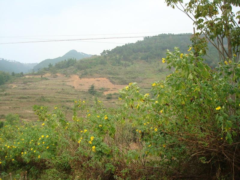 那峩自然村