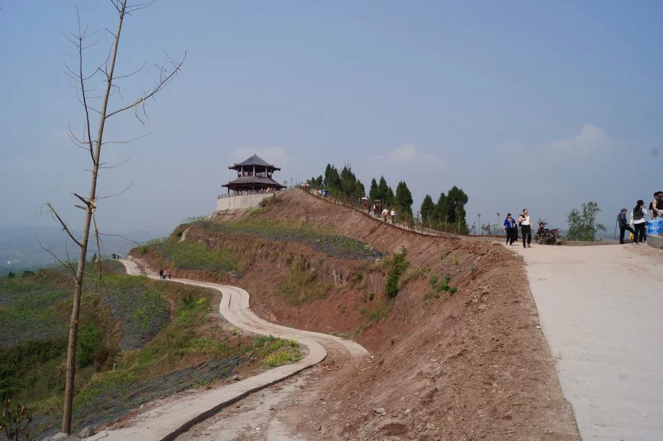 秦巴植物博覽園