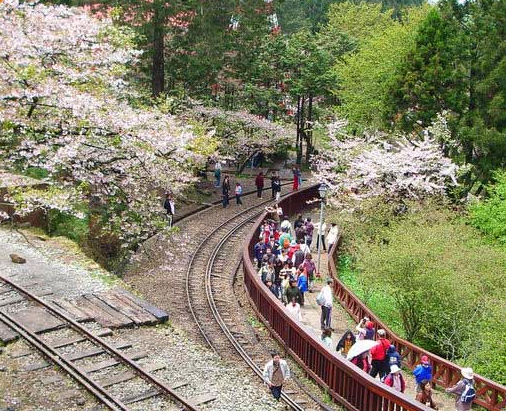 阿里山