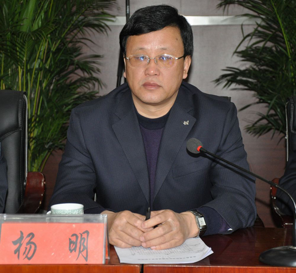 楊明(華鎣市人民政府副市長)