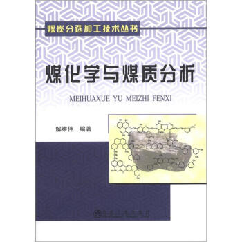 煤炭分選加工技術叢書：煤化學與煤質分析