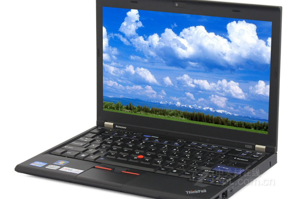 ThinkPad X220(4291NJ3)