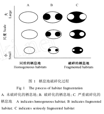 棲地碎裂化