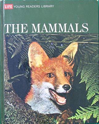 THE MAMMALS