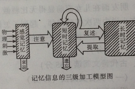 記憶信息的三級加工模型