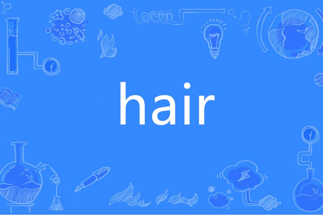 hair(英語單詞)